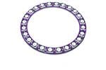 LED 照明开发工具 Smart LED WS2812B Ring24