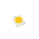 白色 LED Specialty 白色 LED FreshFocus 1208 COB