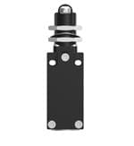 限位开关 LS Z SLOW ROLLER CENTRAL MOUNT 4A 2 NC